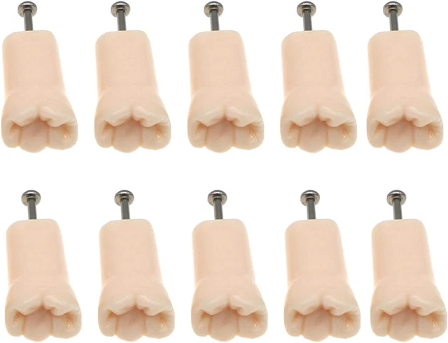 Dental Practice Teeth Kilgore Nissin 200 Compatible