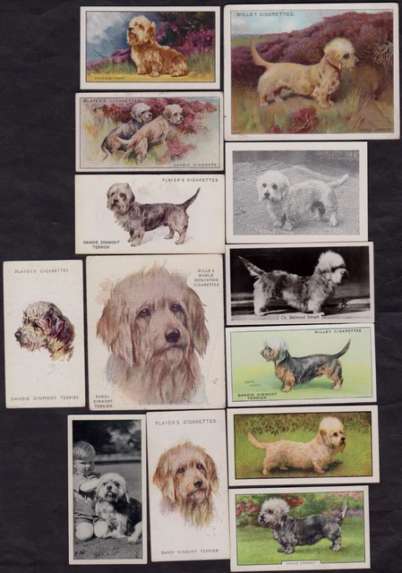 13 Different Vintage DANDY DINMONT TERRIER Tobacco/Cigarette/Tea Dog Cards Lot