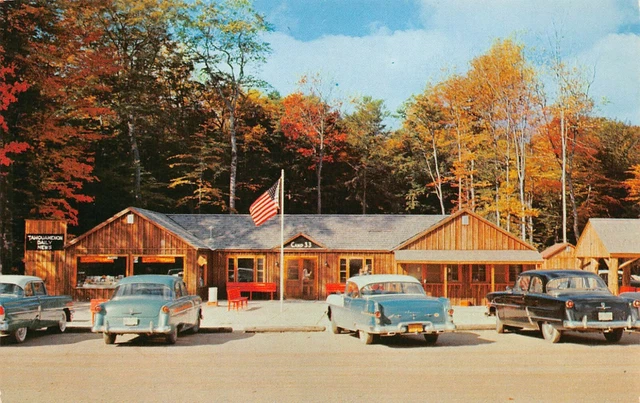 Upper Peninsula Michigan~Upper Tahquamenon Falls~CAMP 33 Roadside Motel POSTCARD