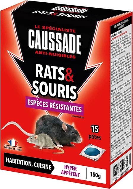150 Rat & Souris | Pat'Appât Espèces Résistantes | Habitation Lieux Secs Et Humi
