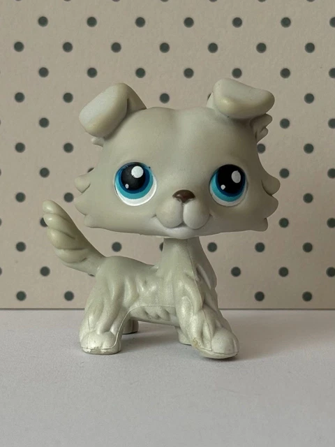 Petshop 363 Authentic Chien Colley Collie dog LPS