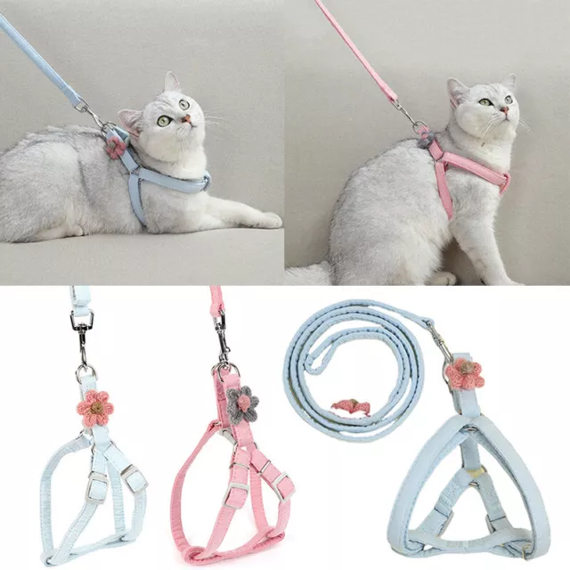 Cachorro Perro Mascota Chaleco Arnés Collar Conjunto Para Gato Gatito <