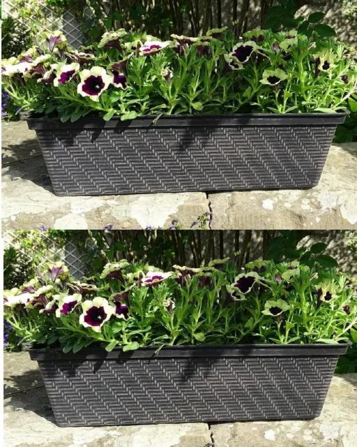 2 x Long Window Box Trough Plant Pots Flower Box Outdoor Garden Planter Plastic
