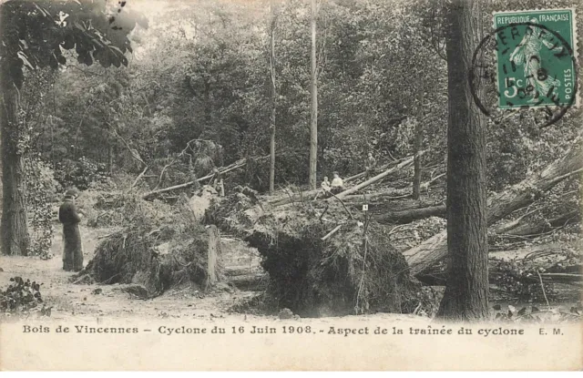 94 Vincennes #21766 Bois Cyclone 1908 Aspect Trainee Du Cyclone Arbres Deracines