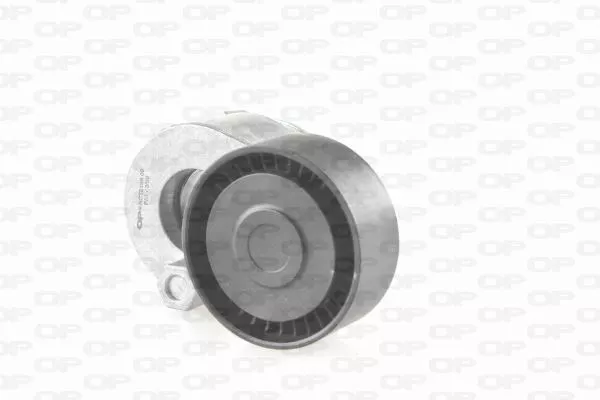 Tendeur De Courroie (Courroie D'accessoire) Renault Clio Ii 1.5 Dci,1.4 16V