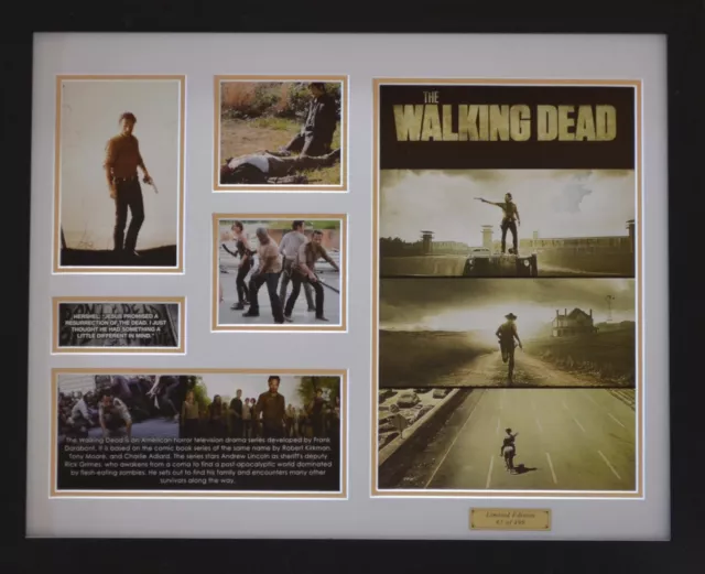The Walking Dead Limited Edition Framed Memorabilia (w)
