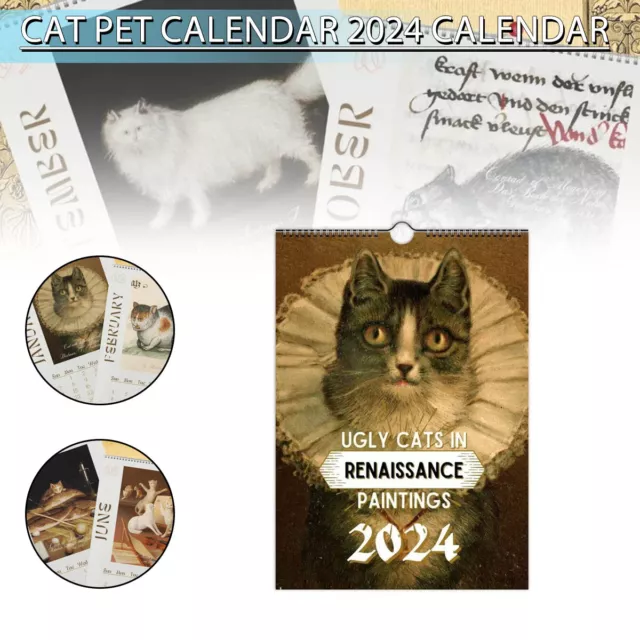 Agenda - Calendrier Drôles de chats 2024 : Collectif: : Livres