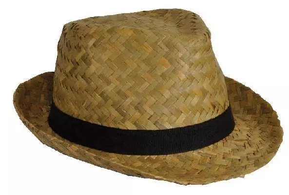 CAPPELLO DA COWBOY di paglia Stetson berretto da sole uomo donna perline  donna fedora estate EUR 116,18 - PicClick IT