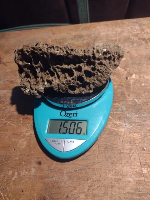 Marine/Saltwater Decorative Dry Live Rock (Unique Medium/Lg Piece)