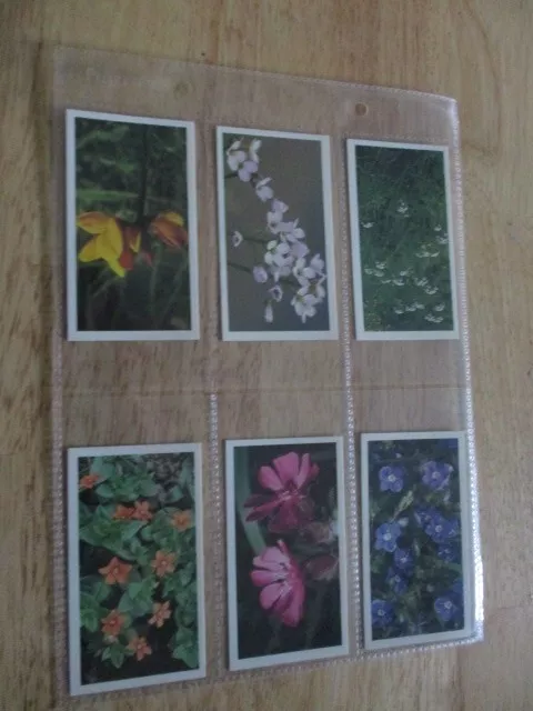 Doncella Britains Wild Flowers Complete Full Set By John Player & Sons