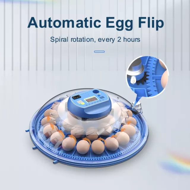 Automatic Digital 8 Eggs Incubator Chicken Poultry Hatcher Temperature Control