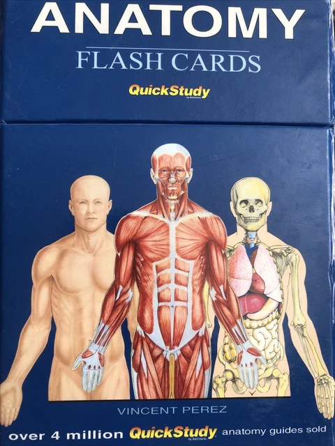 QUICKSTUDY ANATOMY COLOR Coded Flash Cards Bar Charts Publishing 300 ...