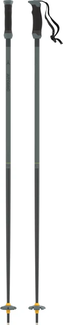 Atomic Redster Q SQS Unisex Skistöcke Ski Poles Alpin Aluminium grün NEU