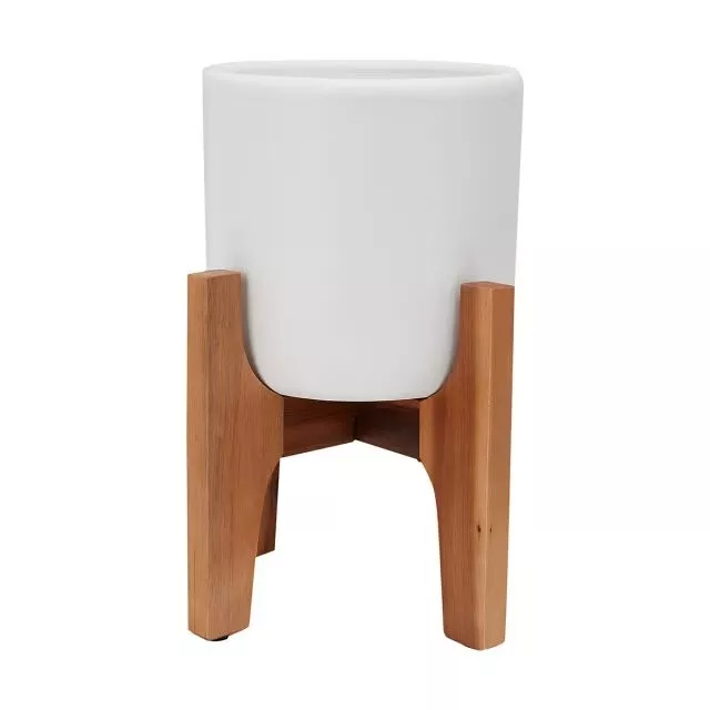 White Pot with Acacia Stand 2