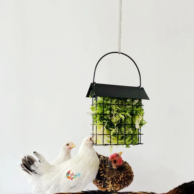 Chicken Hanging Feeding Box Metal Chick Vegetable Basket Pet Hens Fruit Feed Gs0