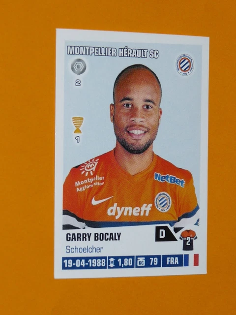 Montpellier Paillade HSC MHSC 1970s superbe vintage fanion football Montpellier Paillade HSC MHSC 1970s superbe vintage fanion football