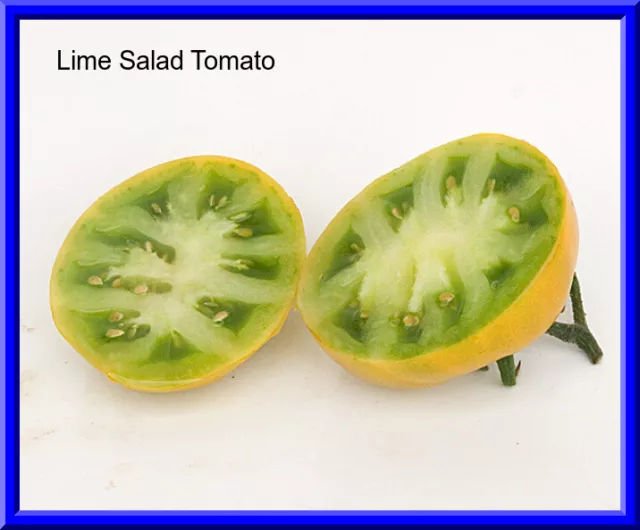 Lime Salad Tomato Seeds -Comb. S/H  Unique Delicious Fruit -See our store