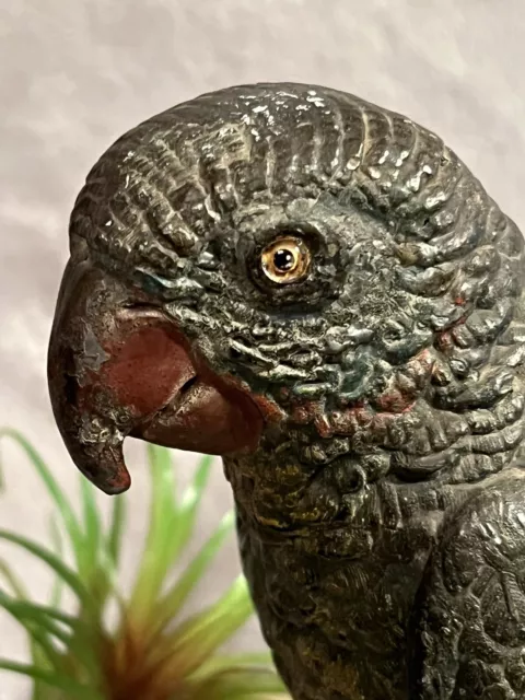 Late 19th Century Bergman Design Austrian Cold Painted Parrot in Bronze,