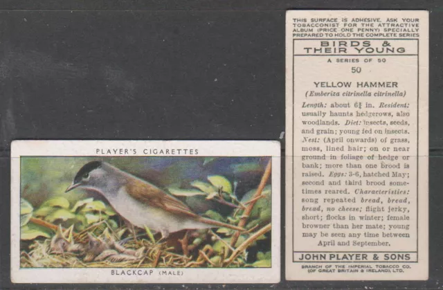 CIGARETTE CARDS Players 1937 Birds & their Young - complete set