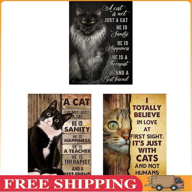 Spilla Dinamica Gattini Plexiglass E Acrilico Taglio Laser - Italia - Foto 7