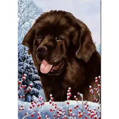Winter House Flag - Chocolate Newfoundland 15910