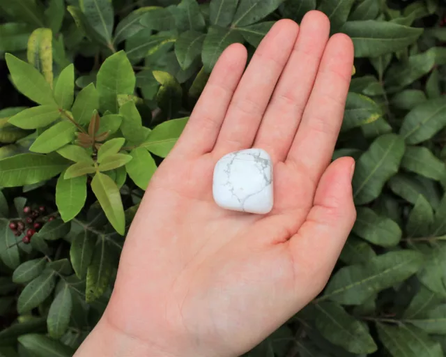 1 Large White Howlite Tumbled Stone (Crystal Healing Reiki Gemstone)