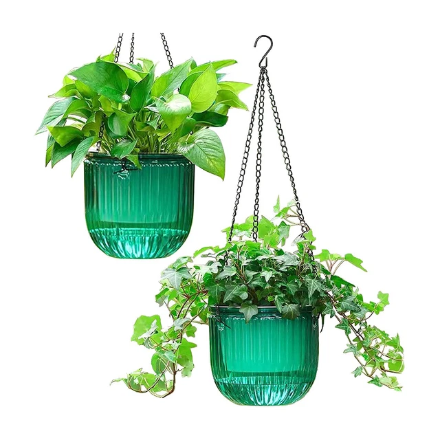 SUPVOX Lot De 2 Tentures Murales Jardinières Suspendues Pour Orchidées & Plantes - Support Décoratif Noir