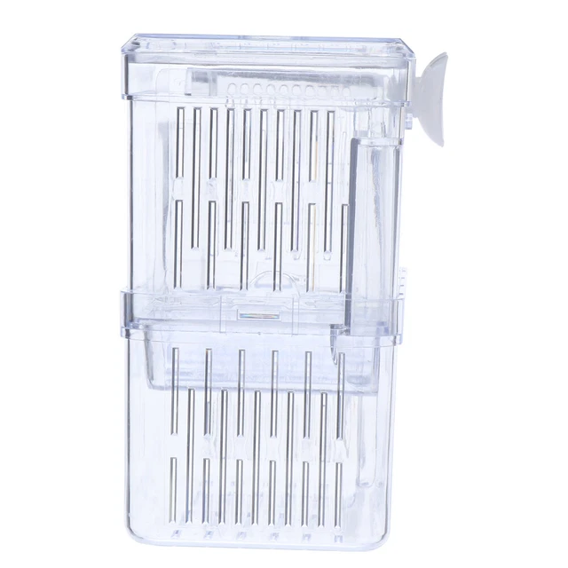 Boîte D’élevage Pour Poissons – Isolement Et Protection En Aquarium !