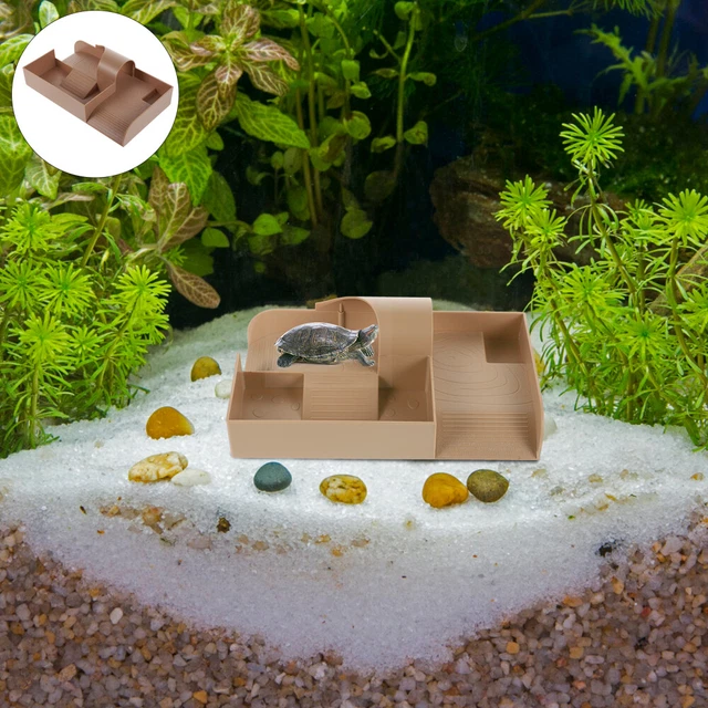 BAZEITFLOW 24 Pièces Bloc Calcium Pour Tortues Cubes Naturels Pour