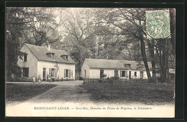 CPA Boissy-Saint-Leger, Gros-Bois, Domaine du Prince de Wagram, la Faisanderie