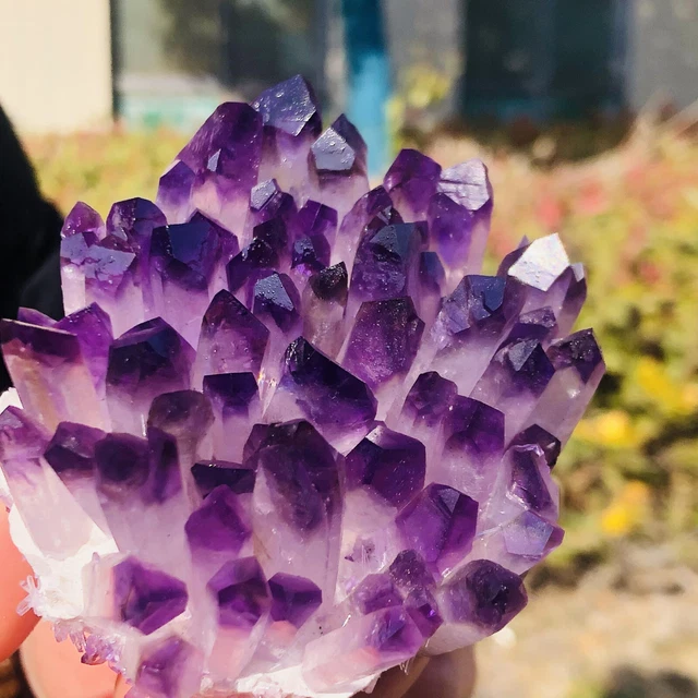 280g New Find purpl Phantom Quartz Crystal Cluster Mineral Specimen Healing 5