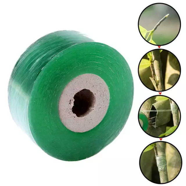 Grafting Tape Stretchable Self-adhesive For Garden 100m Tree 2022 K1G76