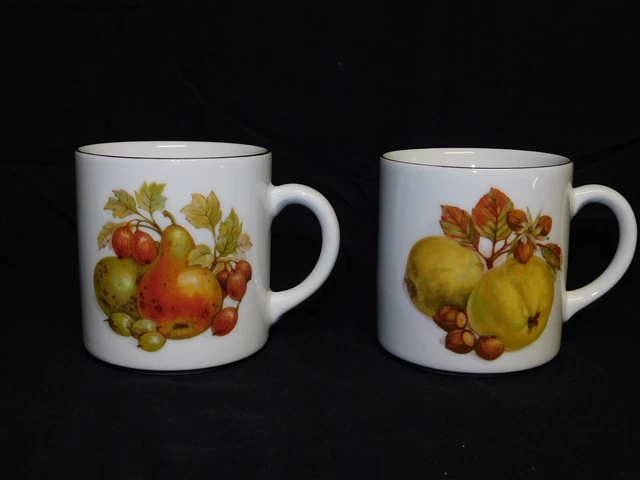 2 Vtg Bareuther Waldsassen Bavaria Germany Fruit Pattern Mugs 284