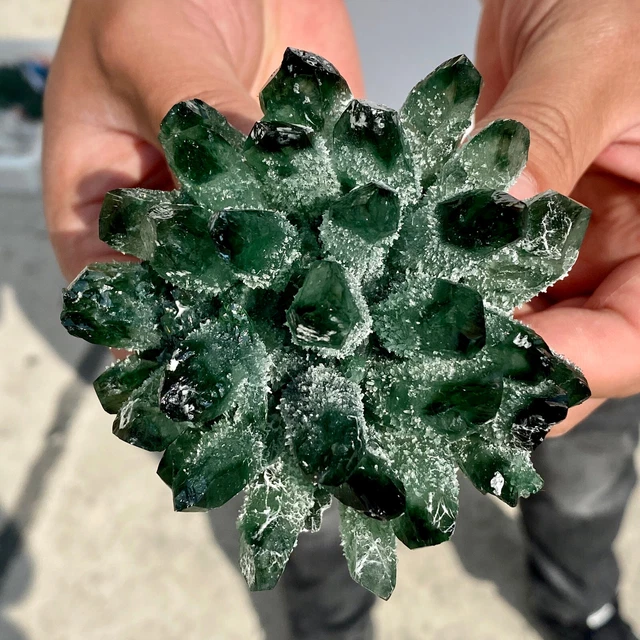 348G New Find Green Phantom Quartz Crystal Cluster Mineral Specimen Healing 11