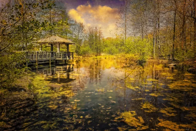 The Pond by Chris Lord Photo Photograph Cool Wall Decor Art Print Poster 12x18