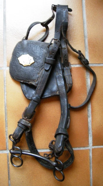 Ancien Licol Ou Bride De Cheval En Cuir - Équitation Vintage - Déco Ou Usage