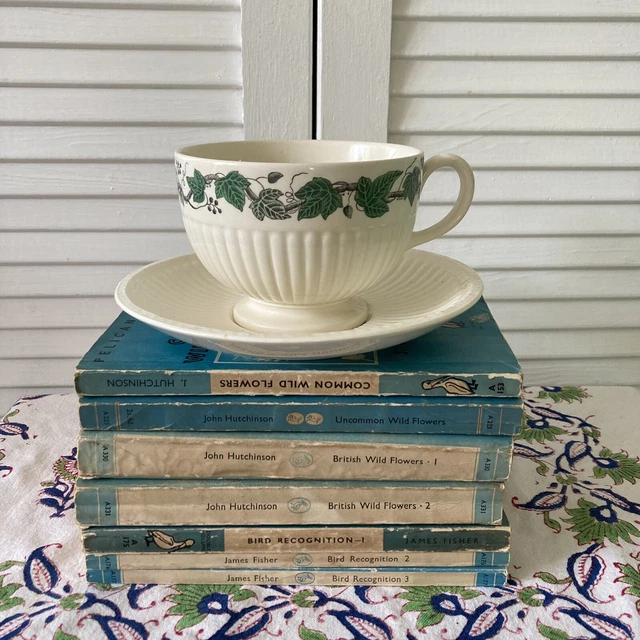 WEDGWOOD Of ETRURIA & BARLASTON QUEENS SHAPE TEA CUP & SAUCER ENGLAND IVY