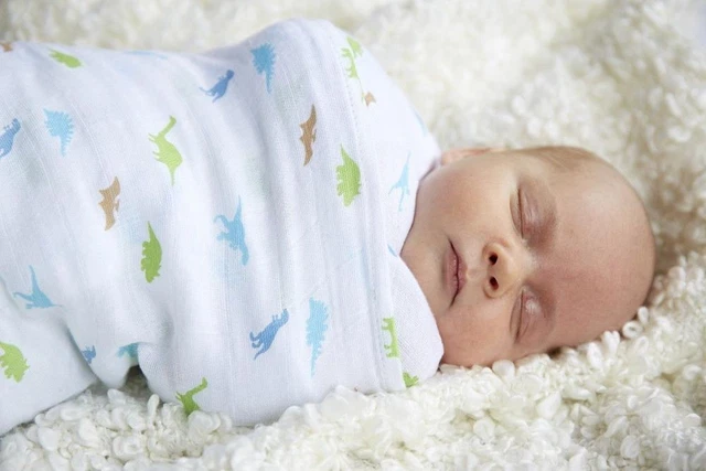 Silly Billyz Muslin 2 Pack Dinostar Wrap