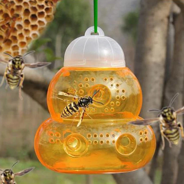 Piège suspendu transparent en forme de courge jaune avec construction de haute
