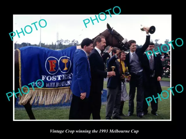 Postcard Size Horse Racing Photo Of Vintage Crop Winning The 1993 Melbourne Cup
