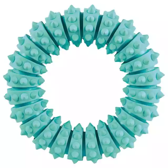 Denta Fun Ring Mint Flavor Natural Rubber Gums Dog Z Sleeve Hne Toy