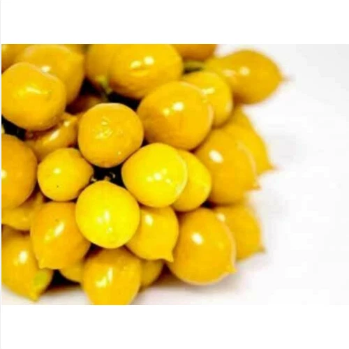 POMODORO PIENNOLO DEL Vesuvio, 50 Semi Omaggio EUR 3,63 - IT POMODORO PIENNOLO DEL Vesuvio, 50 Semi Omaggio EUR 3,63 - IT