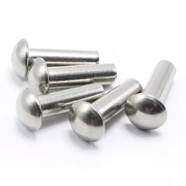 304 rivetti testa rotonda acciaio inox M0,8 M1 M1,2 M1,4 M1,6 M2 M2,5