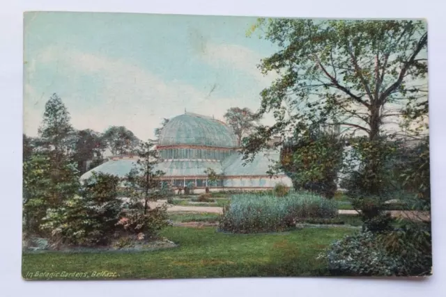 Northern Ireland Belfast In Botanic Gardens Reis & Co Dublin Postcard c.1910's