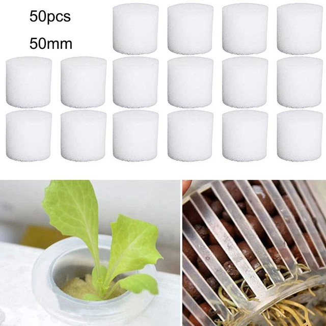 Lot De 50 Éponges De Culture Hydroponique UNIANE - Capsules Démarrage Semis Racines Fortes Hydroponie