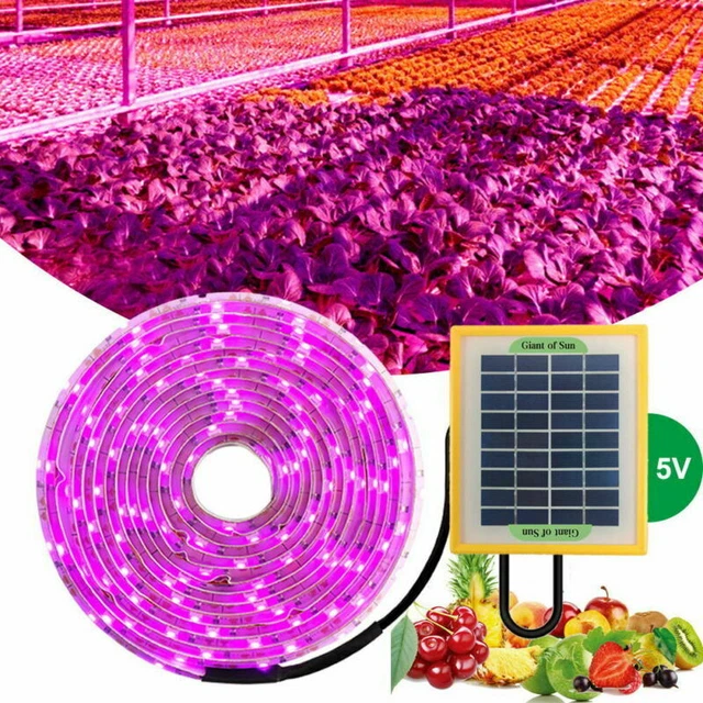 Lampada Per Piante A LED Solare – Striscia Luminosa 20W Per Coltivazione Indoor, Balcone E Serra
