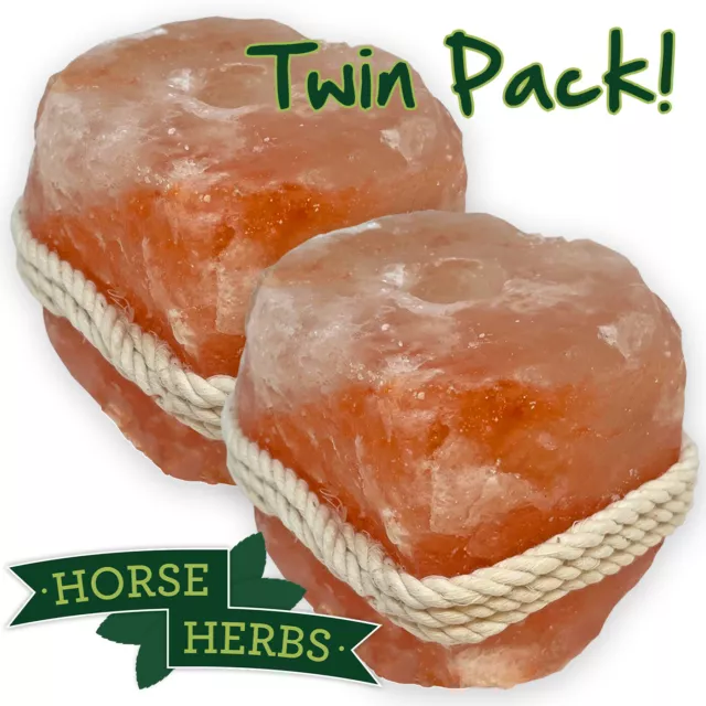 Himalayan Salt Lick for Horses 1kg - 1.5kg With Rope Twin Pack! |  Livestock