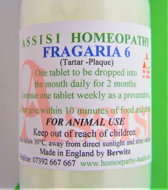 Fragaria Homeopathy Alternative to Dog Cat Toothpaste Plaque Removal Large 3
