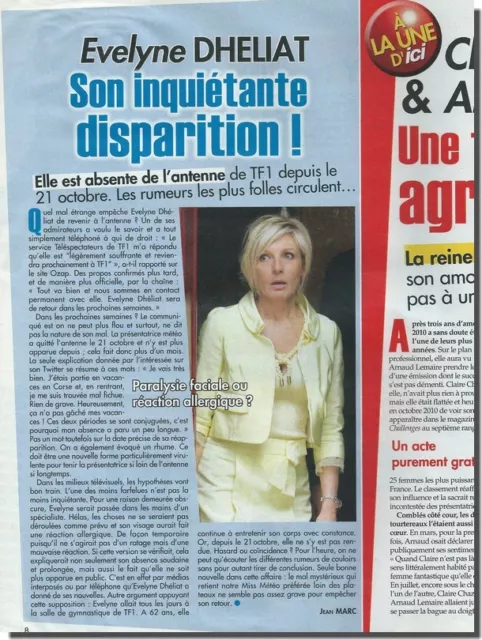 Coupure de presse Clipping 2010  - Evelyne DHELIAT - (1 page)