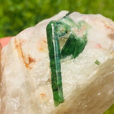 215g Natural Green Watermelon Tourmaline Quartz Crystal Gemstone Mineral Healing